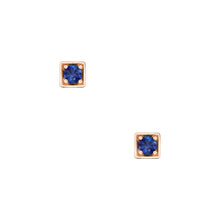 Load image into Gallery viewer, Quinn Earrings - Rose Gold and Blue
