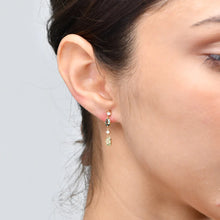 Load image into Gallery viewer, Koa Earrings
