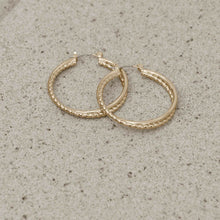 Load image into Gallery viewer, Indian Summer Gold Earrings
