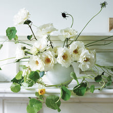 Load image into Gallery viewer, Wedgwood Folia Vase
